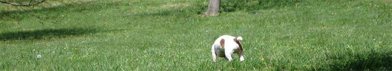 India gals cam stay sex that is gay in personal areas alone header image 2